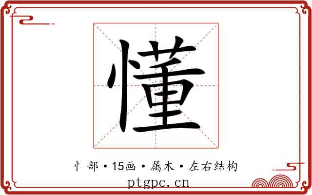 懂 懂