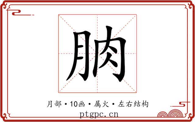 朒