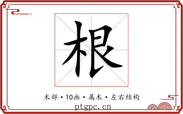 根 根