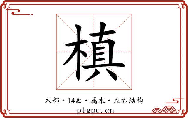 槙
