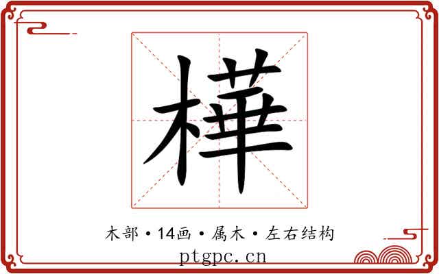 樺
