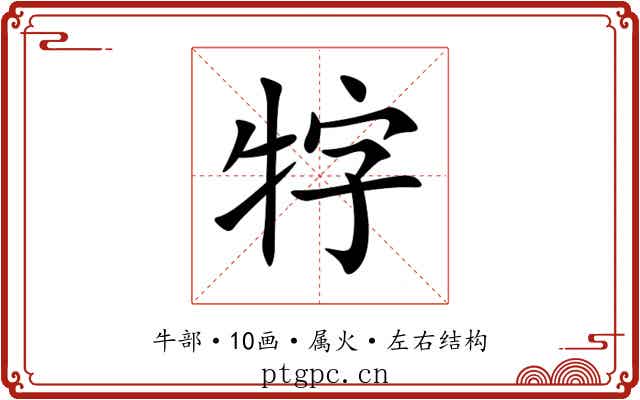 牸