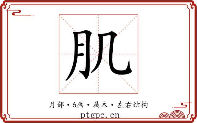 肌