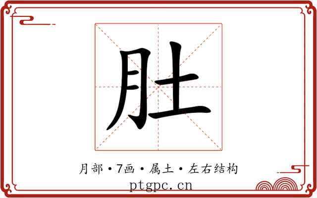 肚