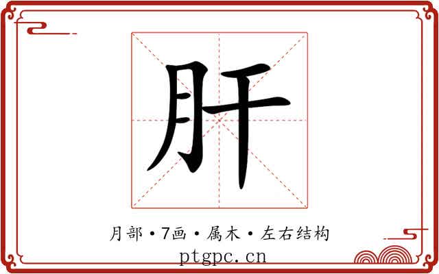 肝 肝