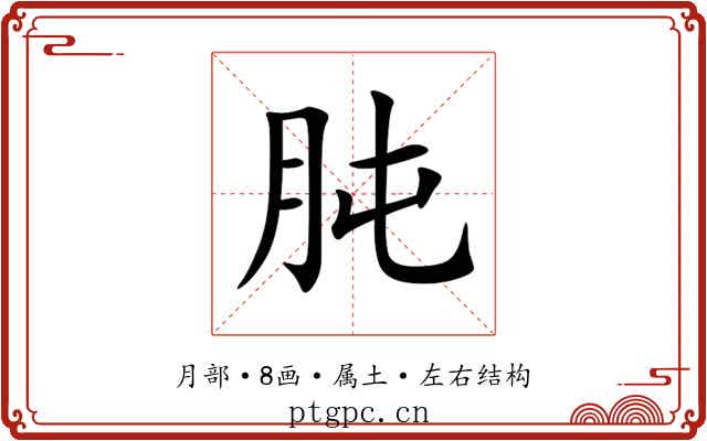 肫 肫