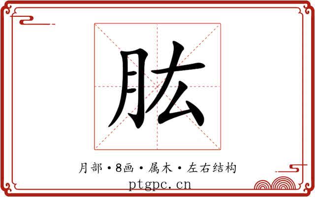 肱
