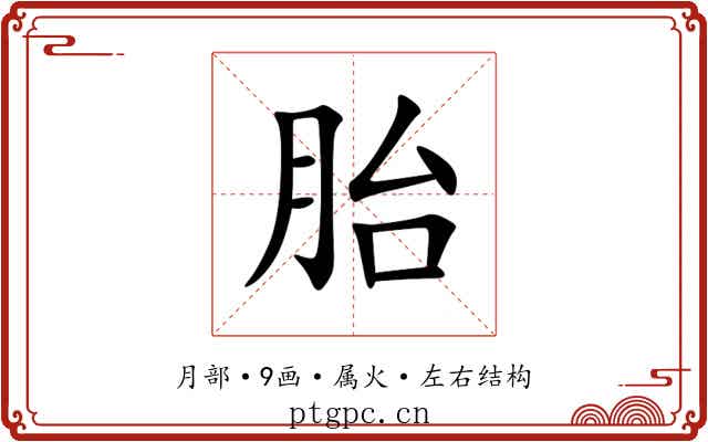胎 胎