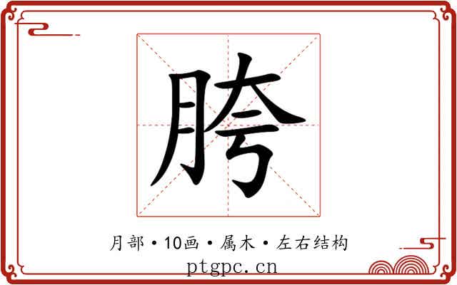 胯