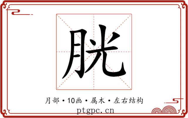 胱 胱