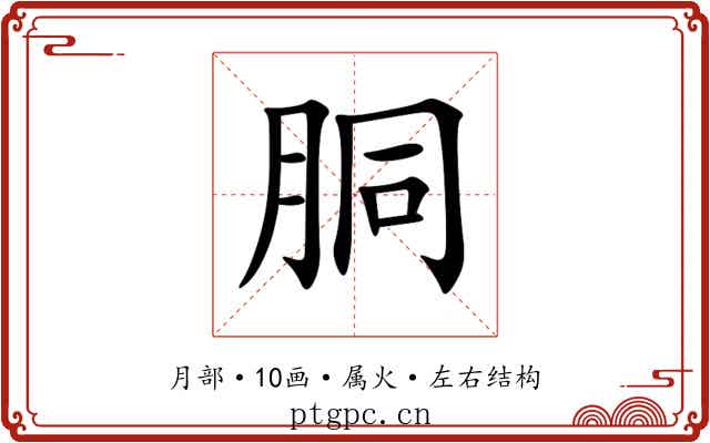 胴 胴
