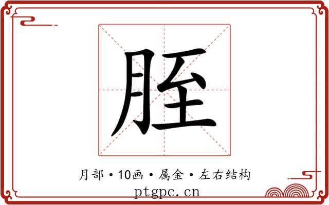 胵 胵
