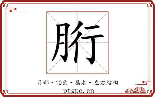 胻