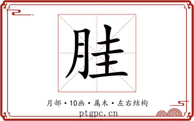 胿 胿