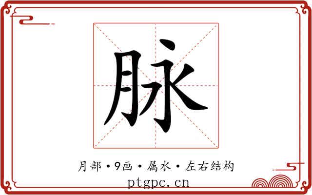 脉 脉