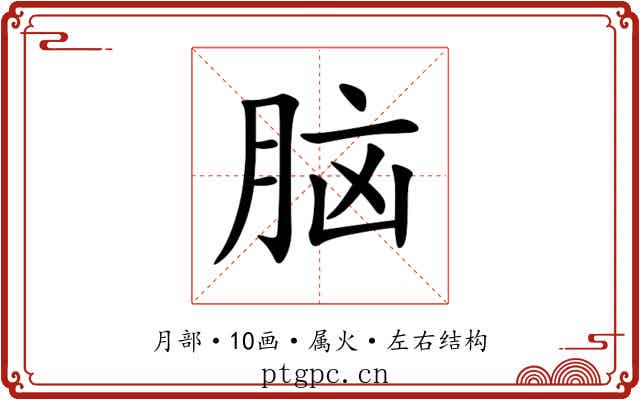脑 脑