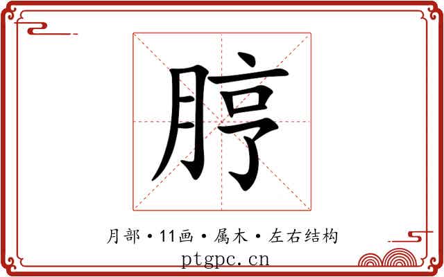 脝