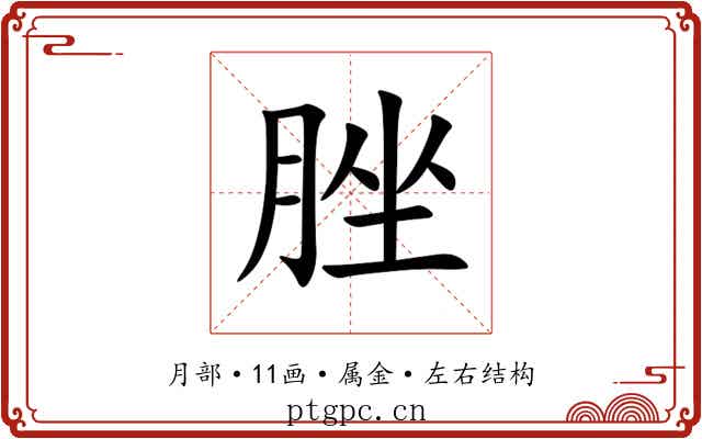 脞