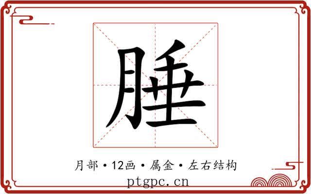腄