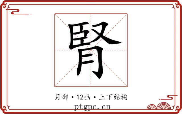 腎