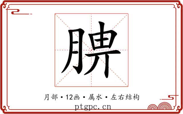 腗
