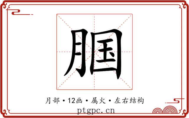腘 腘