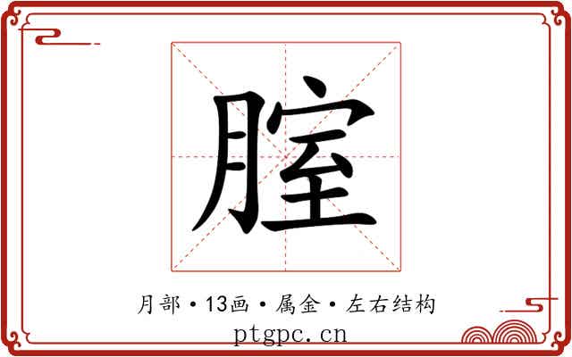 腟 腟