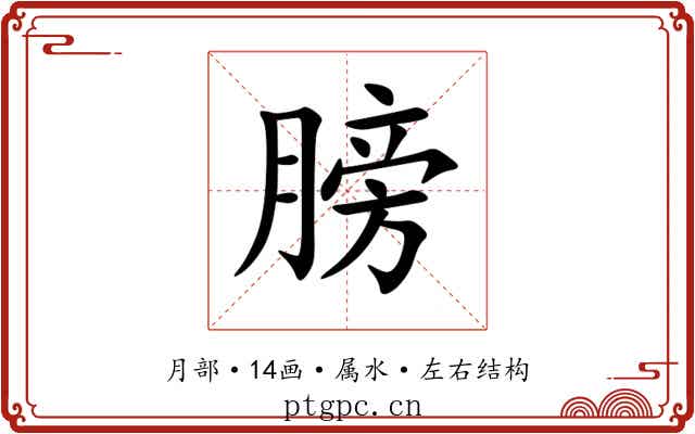 膀