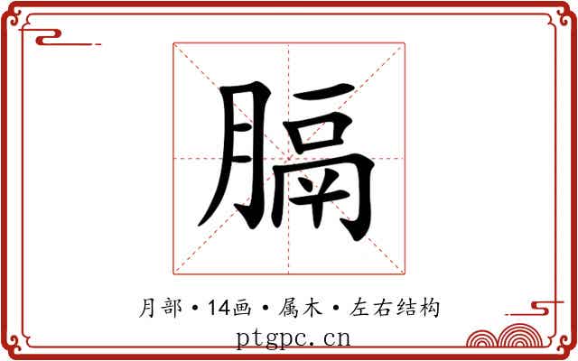 膈