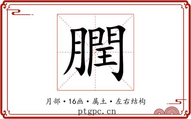 膶