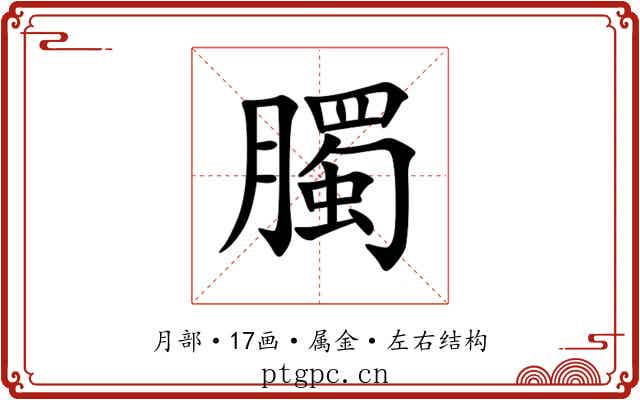 臅 臅