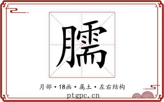 臑