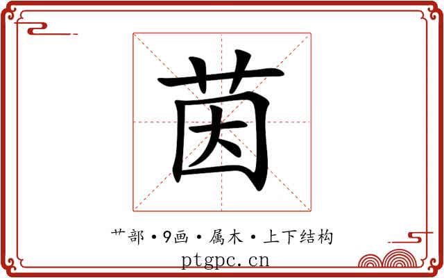 茵 茵