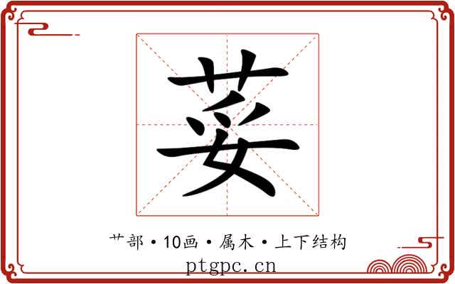 荽 荽