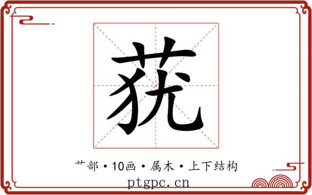 莸 莸