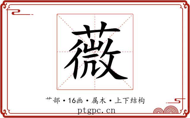 薇 薇