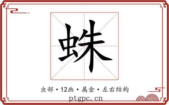 蛛 蛛