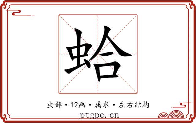 蛤 蛤