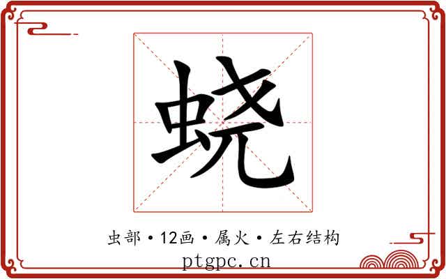 蛲