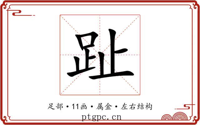 趾