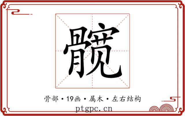髋