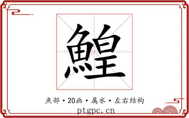 鰉
