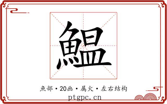 鰛