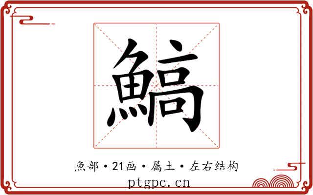 鰝