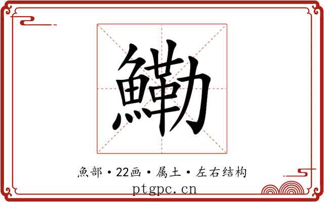 鰳