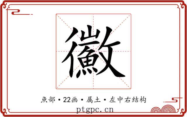 鰴