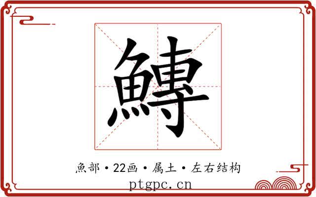 鱄
