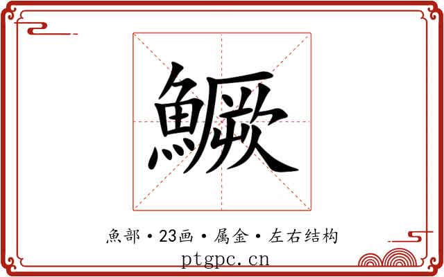 鱖