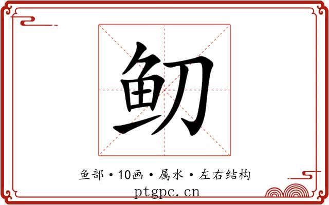 鱽