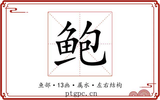 鲍 鲍